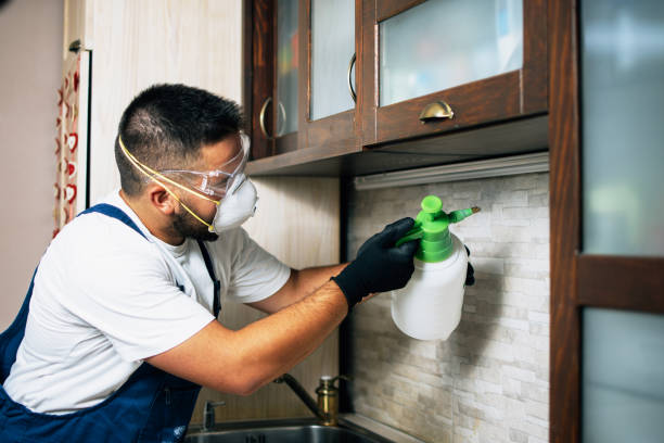 Best Exterminator Services  in Dearborn Heights, MI
