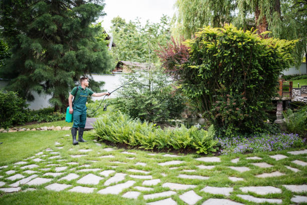 Best Best Pest Control Companies  in Dearborn Heights, MI