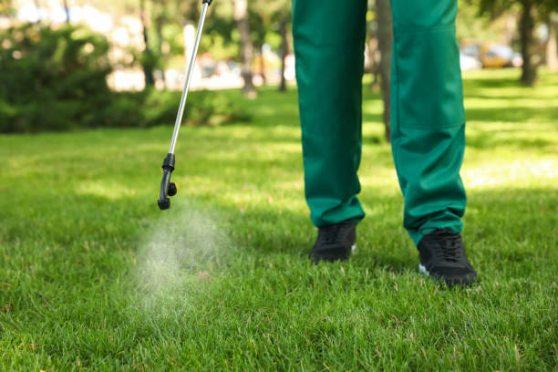 Best Termite Control Services  in Dearborn Heights, MI
