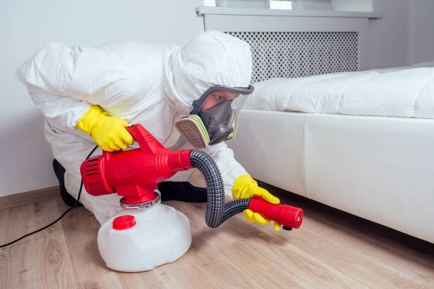 Best Pest Control Near Me  in Dearborn Heights, MI