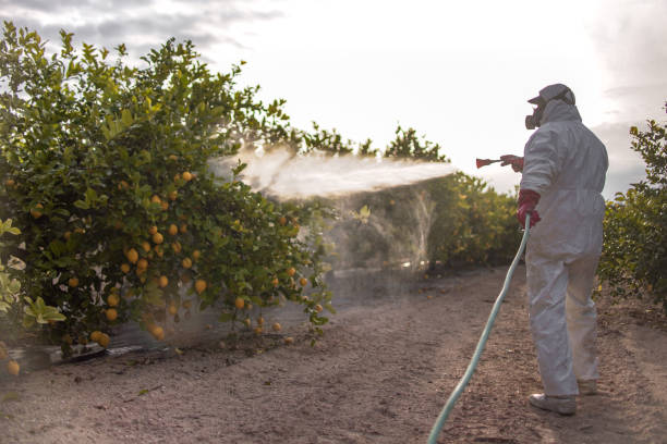 Best Pest Removal Services  in Dearborn Heights, MI