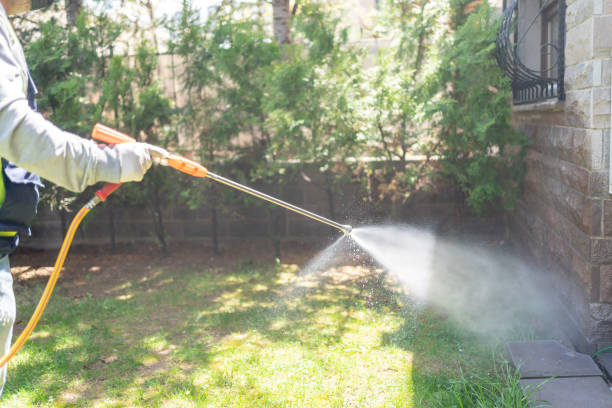 Best Residential Pest Control  in Dearborn Heights, MI