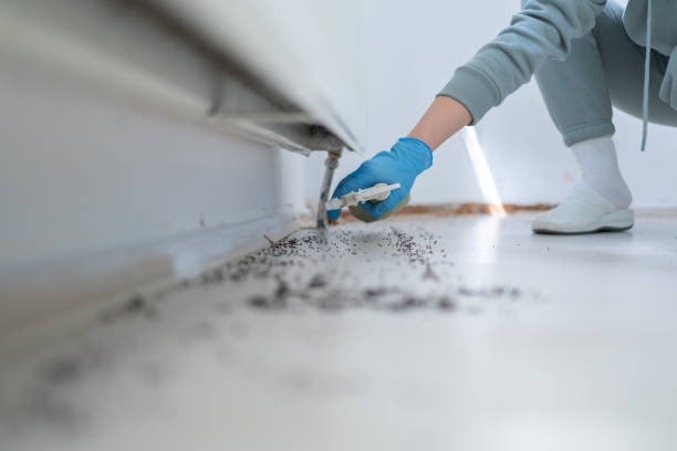 Best Wildlife Control Services  in Dearborn Heights, MI
