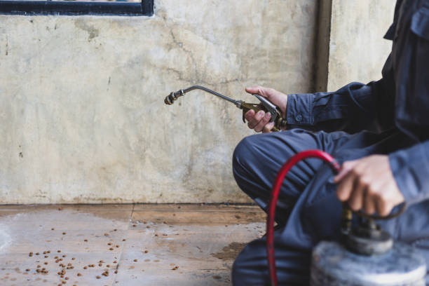 Best Best Pest Control Companies  in Dearborn Heights, MI