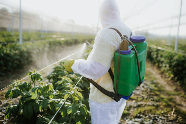 Best Mosquito Control Services  in Dearborn Heights, MI